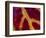 Healdsburg, California:-Ian Shive-Framed Photographic Print