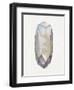 Healing Crystal 2-Filippo Ioco-Framed Art Print