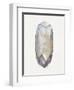 Healing Crystal 2-Filippo Ioco-Framed Art Print