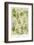 Healing Plants-null-Framed Photographic Print