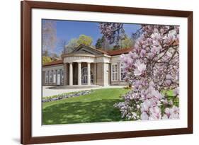 Health Resort House, Bad Cannstatt, Magnolia Blossom, Stuttgart, Baden-Wurttemberg Germany-Markus Lange-Framed Photographic Print