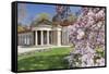 Health Resort House, Bad Cannstatt, Magnolia Blossom, Stuttgart, Baden-Wurttemberg Germany-Markus Lange-Framed Stretched Canvas