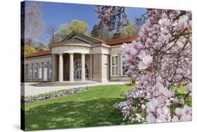 Health Resort House, Bad Cannstatt, Magnolia Blossom, Stuttgart, Baden-Wurttemberg Germany-Markus Lange-Stretched Canvas