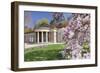 Health Resort House, Bad Cannstatt, Magnolia Blossom, Stuttgart, Baden-Wurttemberg Germany-Markus Lange-Framed Photographic Print