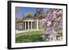 Health Resort House, Bad Cannstatt, Magnolia Blossom, Stuttgart, Baden-Wurttemberg Germany-Markus Lange-Framed Photographic Print