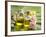 Health Spa on Banana Leaf-crystalfoto-Framed Photographic Print