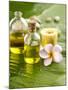 Health Spa with Massage Oil, Frangipani,Candle-crystalfoto-Mounted Photographic Print