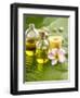 Health Spa with Massage Oil, Frangipani,Candle-crystalfoto-Framed Photographic Print