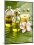 Health Spa with Massage Oil, Frangipani,Candle-crystalfoto-Mounted Photographic Print