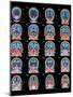 Healthy Brain, MRI Scans-Science Photo Library-Mounted Photographic Print