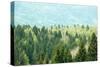 Healthy, Colorful Coniferous and Deciduous Forest-zlikovec-Stretched Canvas