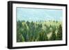 Healthy, Colorful Coniferous and Deciduous Forest-zlikovec-Framed Photographic Print