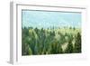 Healthy, Colorful Coniferous and Deciduous Forest-zlikovec-Framed Photographic Print