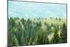 Healthy, Colorful Coniferous and Deciduous Forest-zlikovec-Mounted Photographic Print