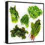 Healthy Dark Green Vegetables-maggy-Framed Stretched Canvas