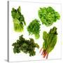 Healthy Dark Green Vegetables-maggy-Stretched Canvas