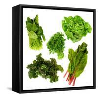 Healthy Dark Green Vegetables-maggy-Framed Stretched Canvas