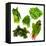 Healthy Dark Green Vegetables-maggy-Framed Stretched Canvas