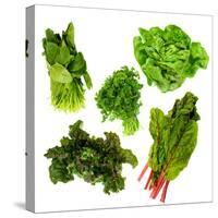 Healthy Dark Green Vegetables-maggy-Stretched Canvas