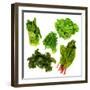 Healthy Dark Green Vegetables-maggy-Framed Premium Photographic Print