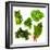 Healthy Dark Green Vegetables-maggy-Framed Premium Photographic Print