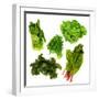 Healthy Dark Green Vegetables-maggy-Framed Premium Photographic Print