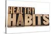Healthy Habits-PixelsAway-Stretched Canvas