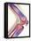 Healthy Knee, X-ray-Science Photo Library-Framed Stretched Canvas