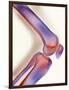 Healthy Knee, X-ray-Science Photo Library-Framed Photographic Print