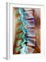 Healthy Lower Spine, X-ray-Science Photo Library-Framed Premium Photographic Print