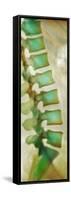 Healthy Lower Spine, X-ray-Science Photo Library-Framed Stretched Canvas