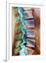 Healthy Lower Spine, X-ray-Science Photo Library-Framed Photographic Print