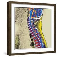 Healthy Spine-Du Cane Medical-Framed Premium Photographic Print