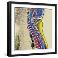 Healthy Spine-Du Cane Medical-Framed Premium Photographic Print