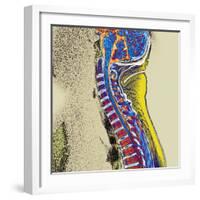 Healthy Spine-Du Cane Medical-Framed Premium Photographic Print