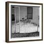 Heap of milkweed seeds and a bicycle in a porch, Taos, New Mexico, USA-Panoramic Images-Framed Photographic Print