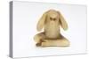 Hear No Evil, One of the Three Wise Monkeys-Japanese School-Stretched Canvas