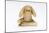 Hear No Evil, One of the Three Wise Monkeys-Japanese School-Mounted Giclee Print