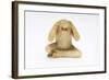 Hear No Evil, One of the Three Wise Monkeys-Japanese School-Framed Giclee Print