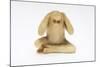 Hear No Evil, One of the Three Wise Monkeys-Japanese School-Mounted Giclee Print