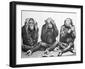 Hear No Evil, See No Evil, Speak No Evil-null-Framed Photographic Print