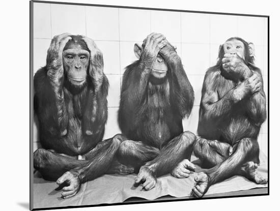 Hear No Evil, See No Evil, Speak No Evil-null-Mounted Photographic Print