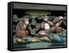 Hear No Evil, Speak No Evil, See No Evil, Toshogu Shrine, Tochigi, Nikko, Japan-Rob Tilley-Framed Stretched Canvas