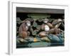 Hear No Evil, Speak No Evil, See No Evil, Toshogu Shrine, Tochigi, Nikko, Japan-Rob Tilley-Framed Photographic Print