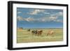 Heard of Horses in Hayfield, San Luis Valley-Howie Garber-Framed Photographic Print