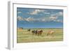 Heard of Horses in Hayfield, San Luis Valley-Howie Garber-Framed Photographic Print