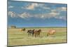 Heard of Horses in Hayfield, San Luis Valley-Howie Garber-Mounted Photographic Print