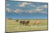 Heard of Horses in Hayfield, San Luis Valley-Howie Garber-Mounted Photographic Print