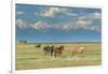 Heard of Horses in Hayfield, San Luis Valley-Howie Garber-Framed Photographic Print