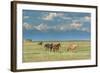 Heard of Horses in Hayfield, San Luis Valley-Howie Garber-Framed Photographic Print